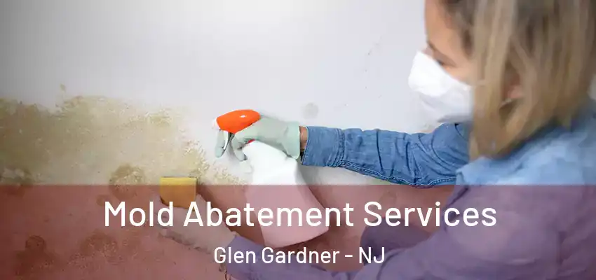 Mold Abatement Services Glen Gardner - NJ