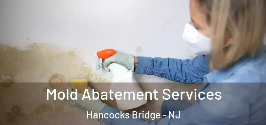  Mold Abatement Services Hancocks Bridge - NJ
