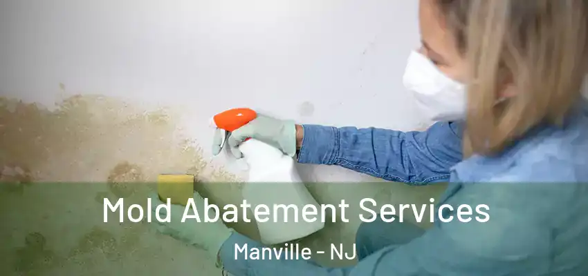  Mold Abatement Services Manville - NJ