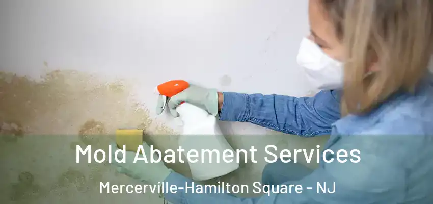  Mold Abatement Services Mercerville-Hamilton Square - NJ