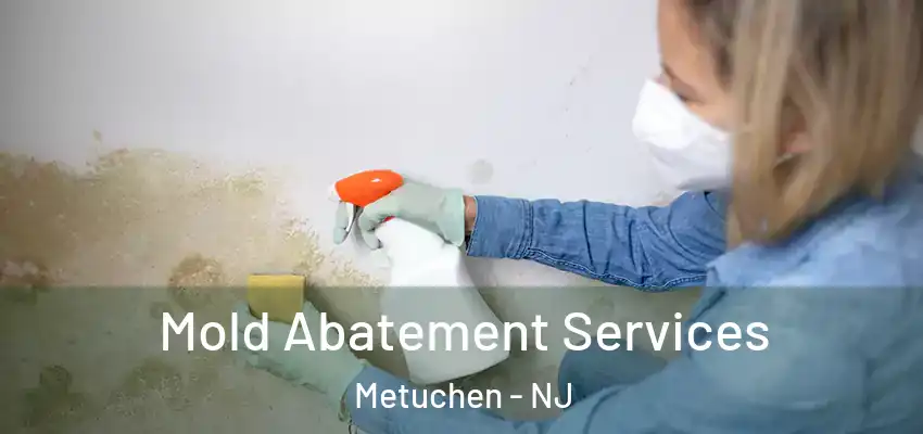 Mold Abatement Services Metuchen - NJ