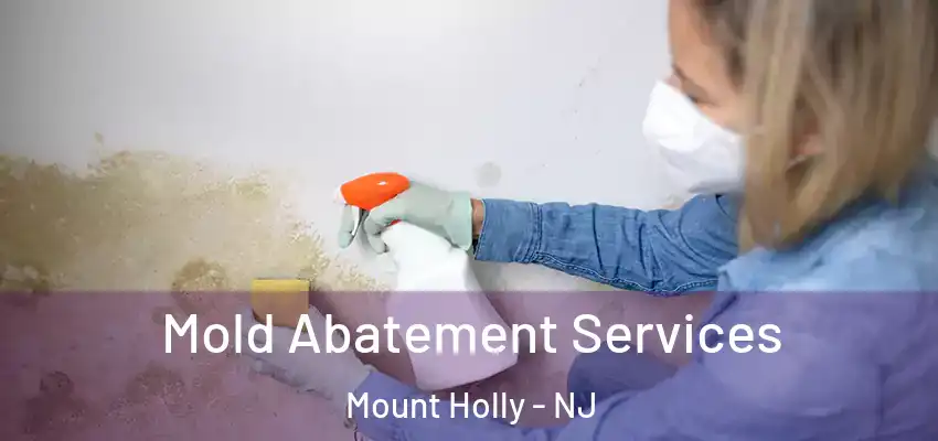  Mold Abatement Services Mount Holly - NJ