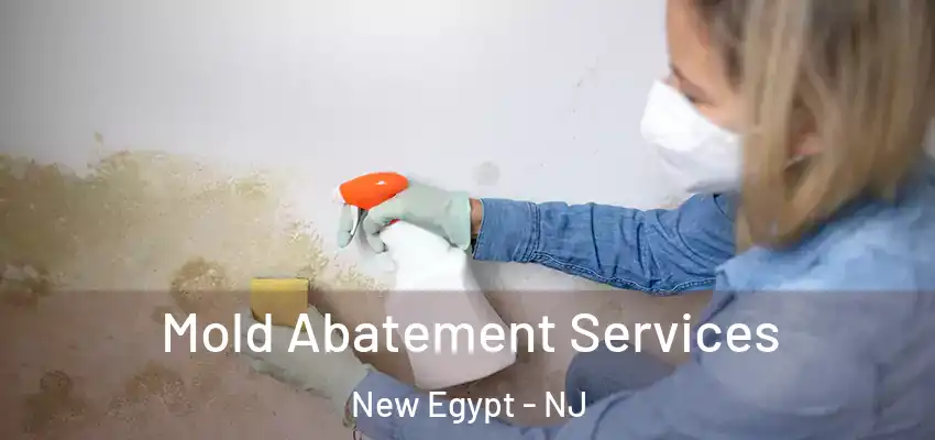  Mold Abatement Services New Egypt - NJ