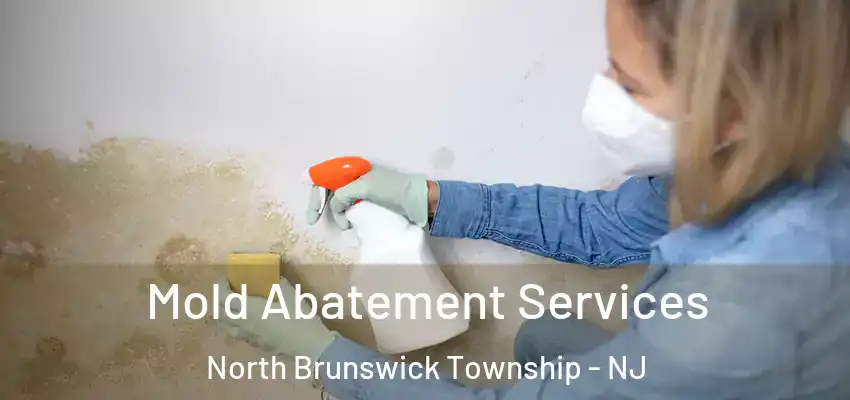  Mold Abatement Services North Brunswick Township - NJ