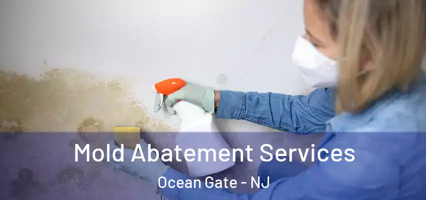 Mold Abatement Services Ocean Gate - NJ