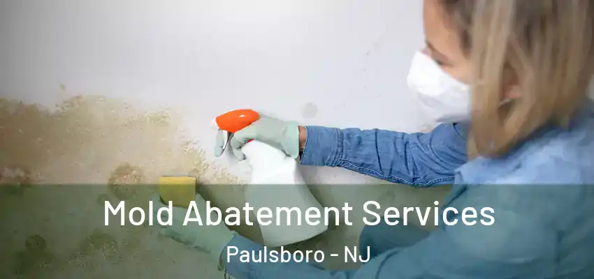 Mold Abatement Services Paulsboro - NJ