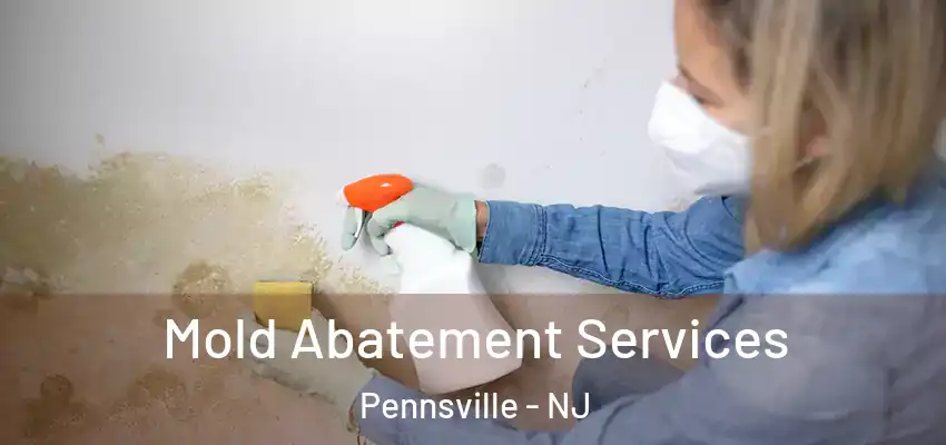  Mold Abatement Services Pennsville - NJ