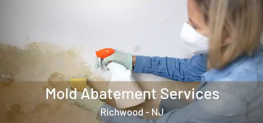Mold Abatement Services Richwood - NJ