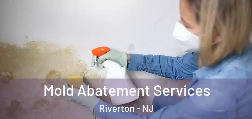 Mold Abatement Services Riverton - NJ