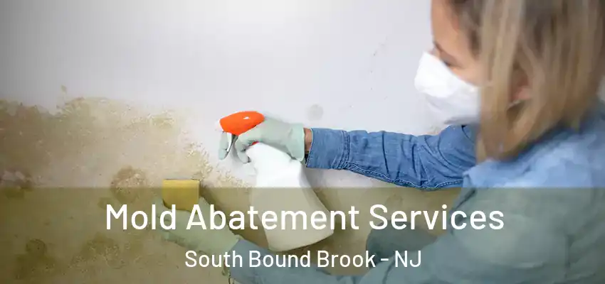  Mold Abatement Services South Bound Brook - NJ