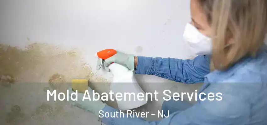  Mold Abatement Services South River - NJ