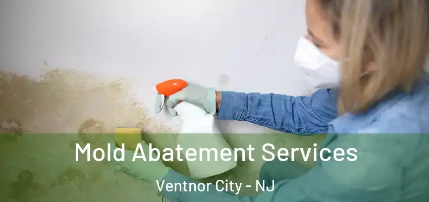  Mold Abatement Services Ventnor City - NJ