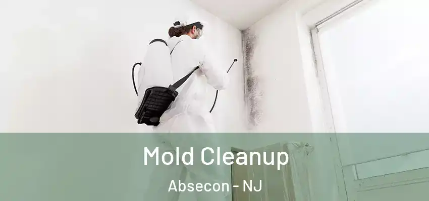 Mold Cleanup Absecon - NJ