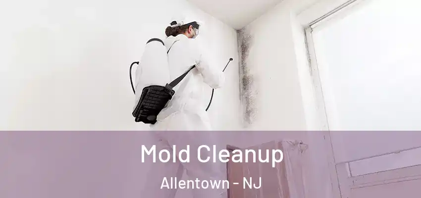  Mold Cleanup Allentown - NJ