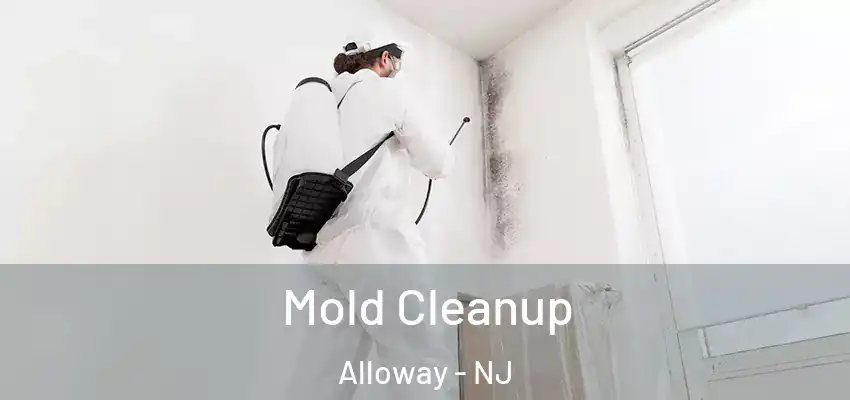 Mold Cleanup Alloway - NJ