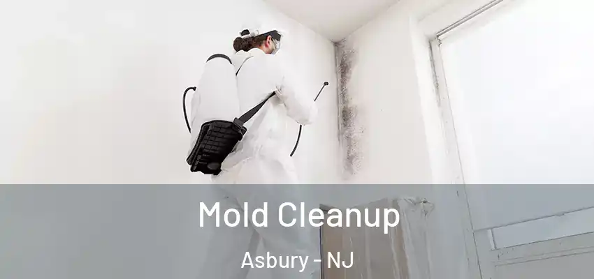  Mold Cleanup Asbury - NJ
