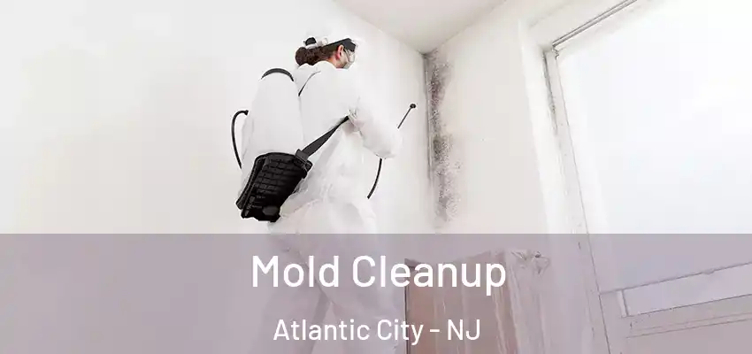  Mold Cleanup Atlantic City - NJ
