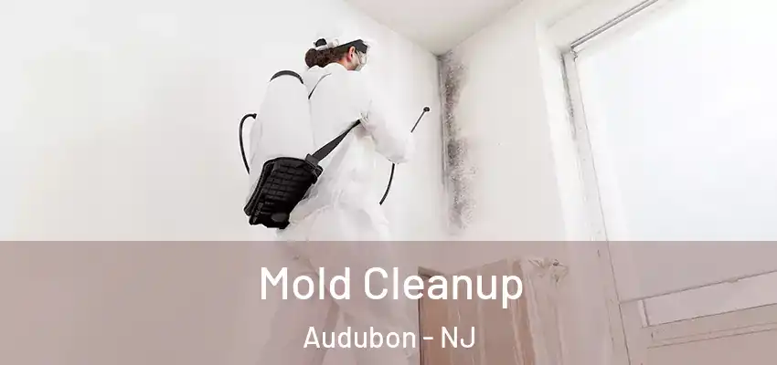  Mold Cleanup Audubon - NJ