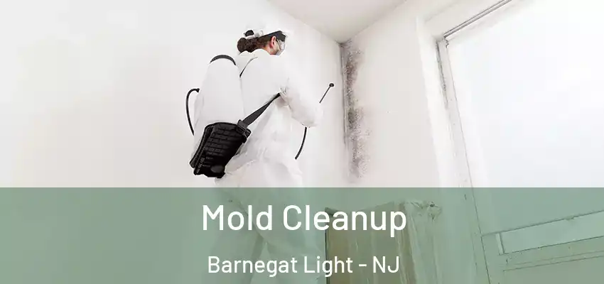 Mold Cleanup Barnegat Light - NJ