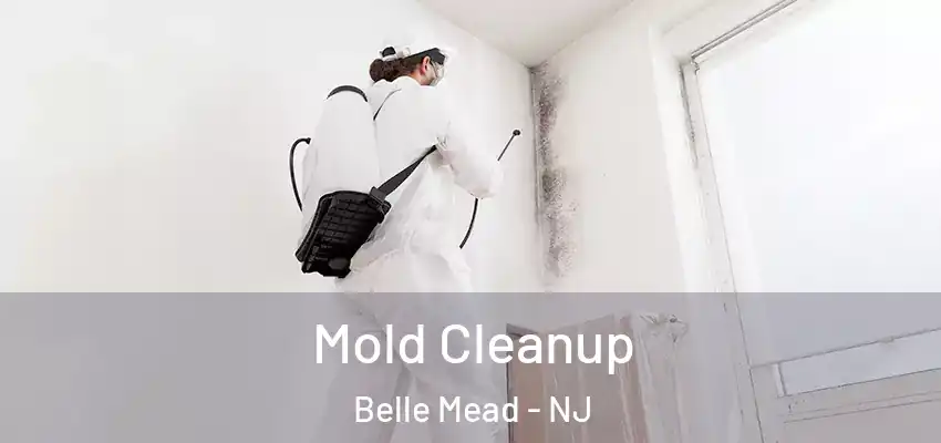 Mold Cleanup Belle Mead - NJ