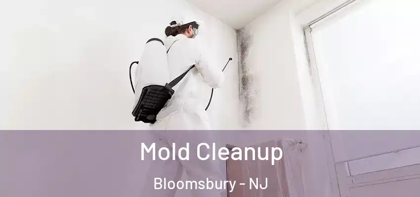  Mold Cleanup Bloomsbury - NJ
