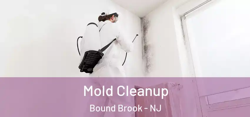 Mold Cleanup Bound Brook - NJ