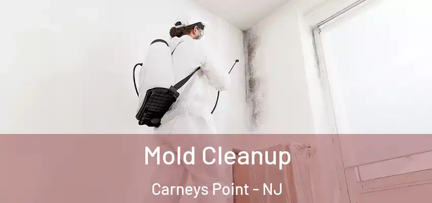  Mold Cleanup Carneys Point - NJ