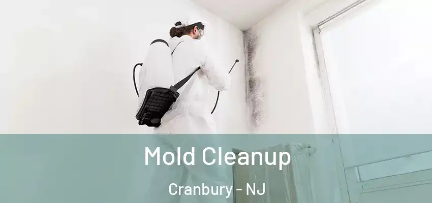  Mold Cleanup Cranbury - NJ