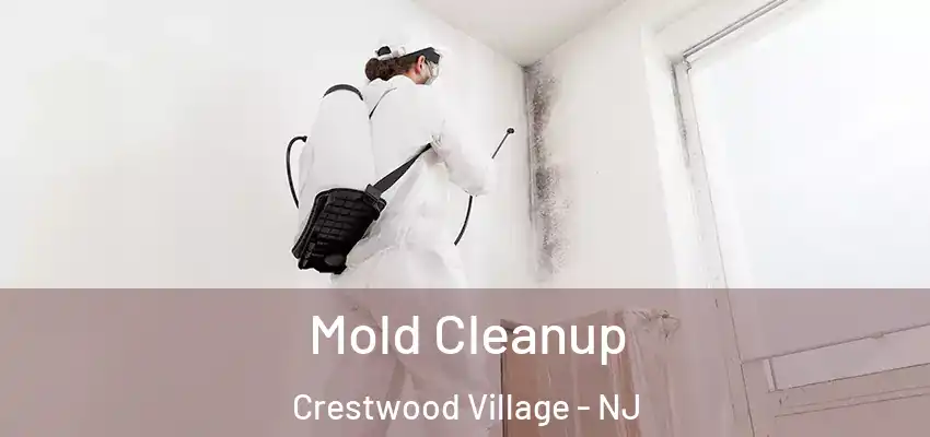 Mold Cleanup Crestwood Village - NJ