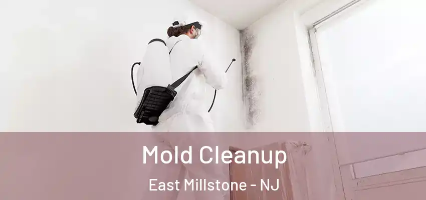 Mold Cleanup East Millstone - NJ