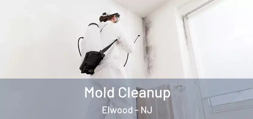 Mold Cleanup Elwood - NJ