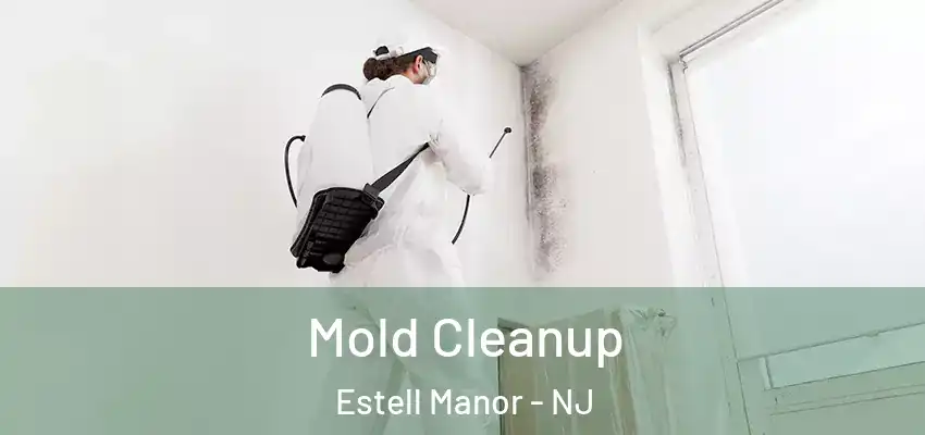 Mold Cleanup Estell Manor - NJ