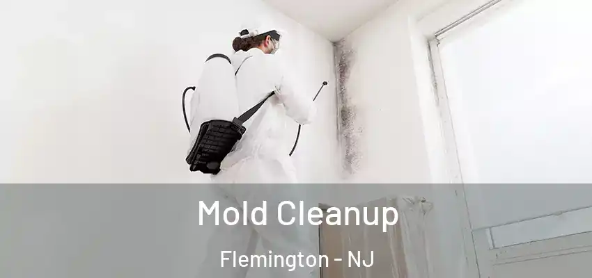  Mold Cleanup Flemington - NJ