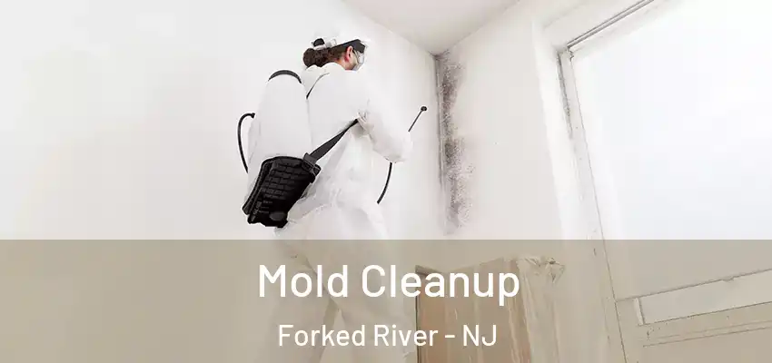 Mold Cleanup Forked River - NJ