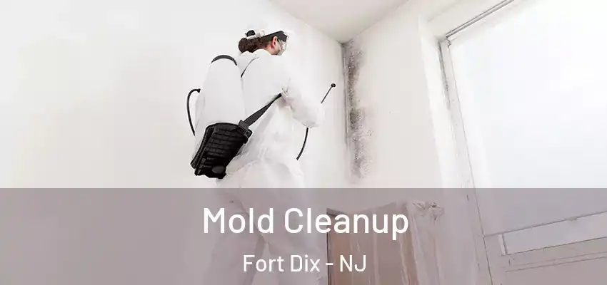  Mold Cleanup Fort Dix - NJ
