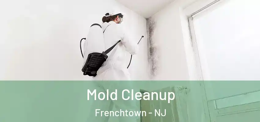  Mold Cleanup Frenchtown - NJ