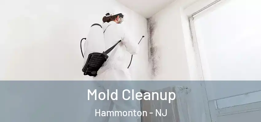 Mold Cleanup Hammonton - NJ