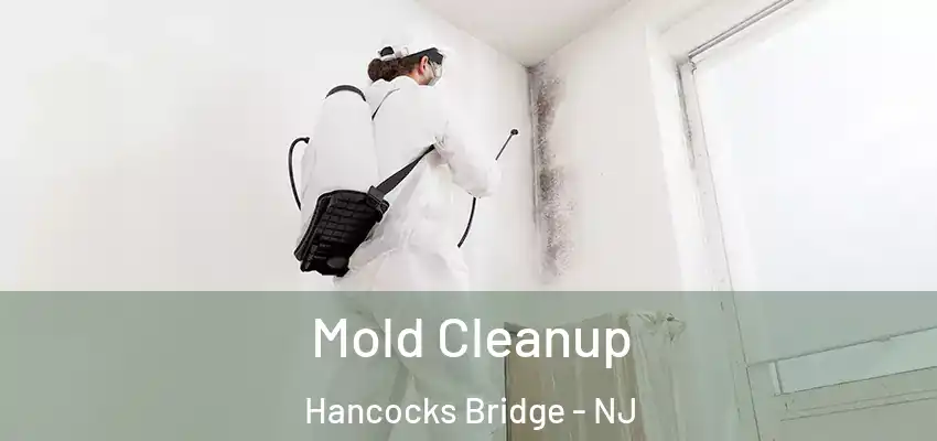 Mold Cleanup Hancocks Bridge - NJ
