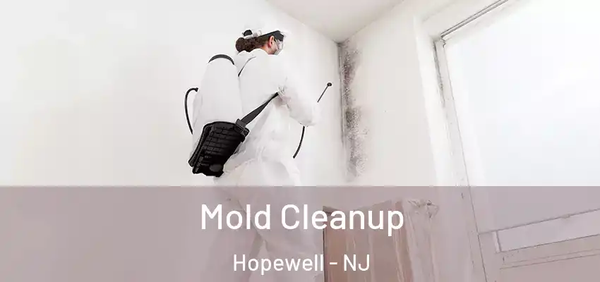 Mold Cleanup Hopewell - NJ