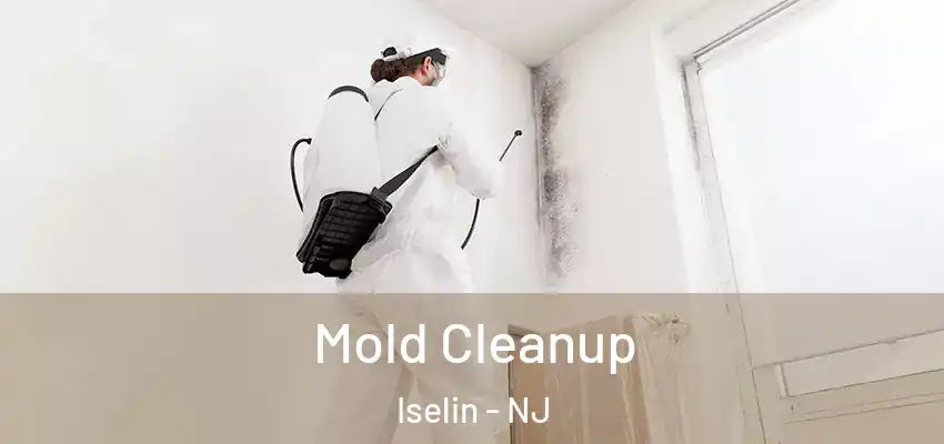 Mold Cleanup Iselin - NJ