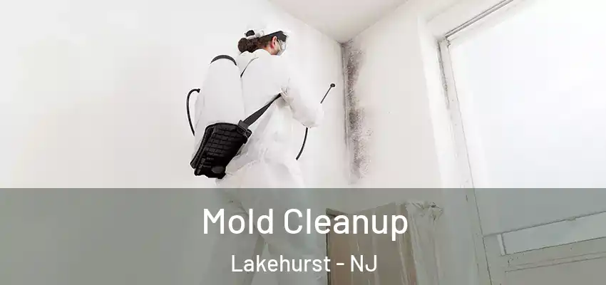 Mold Cleanup Lakehurst - NJ
