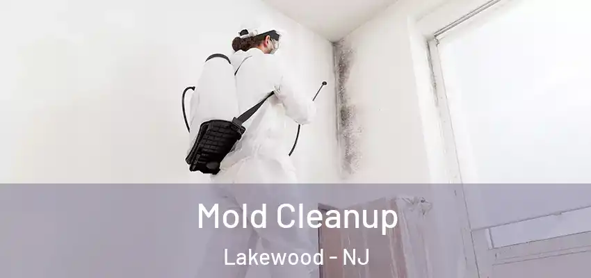 Mold Cleanup Lakewood - NJ