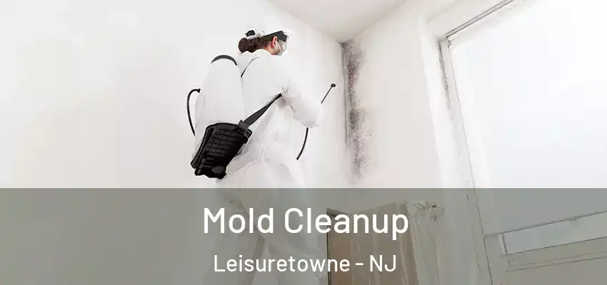  Mold Cleanup Leisuretowne - NJ