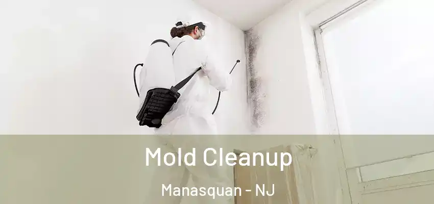  Mold Cleanup Manasquan - NJ