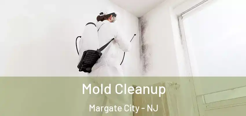 Mold Cleanup Margate City - NJ