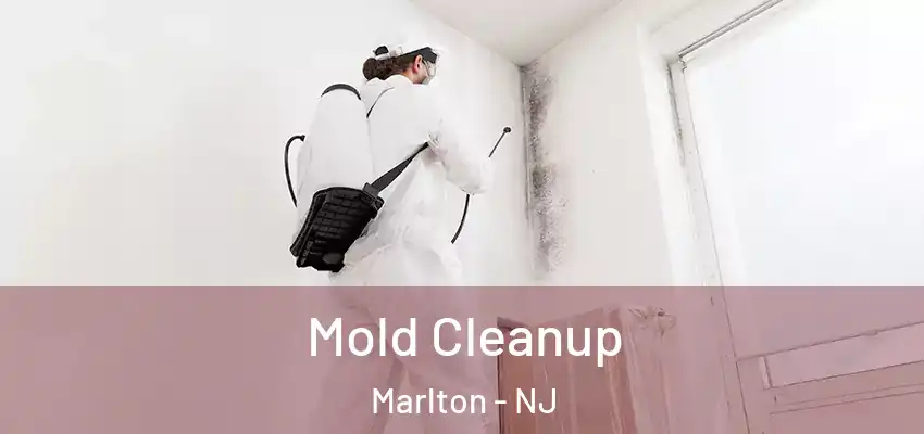 Mold Cleanup Marlton - NJ