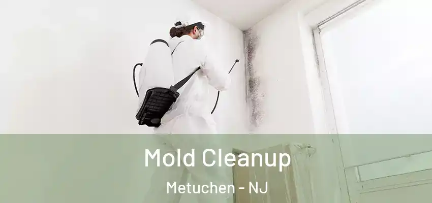Mold Cleanup Metuchen - NJ