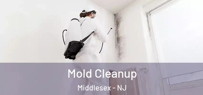  Mold Cleanup Middlesex - NJ