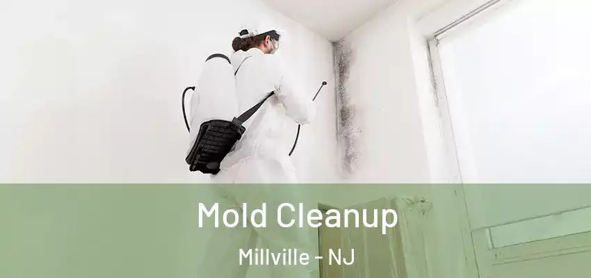 Mold Cleanup Millville - NJ