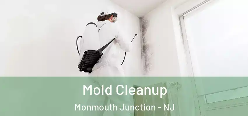 Mold Cleanup Monmouth Junction - NJ